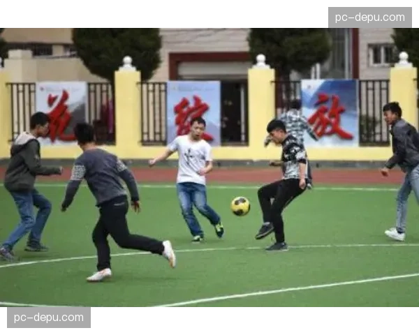 “美国多所大学试点将综合格斗体能训练纳入体育科学课程”